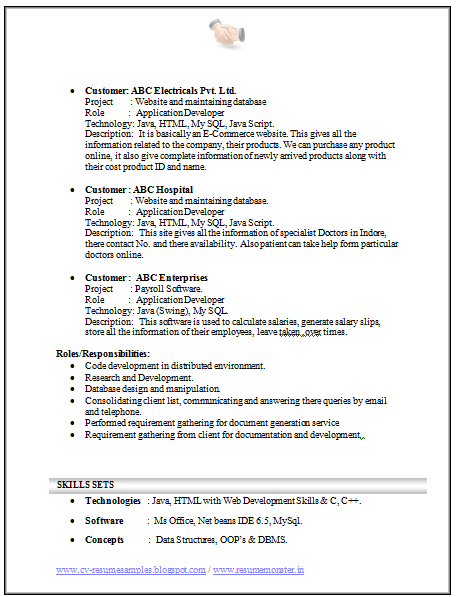 It trainer resume template